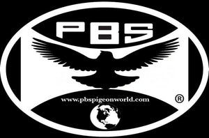 pigeonworld.com